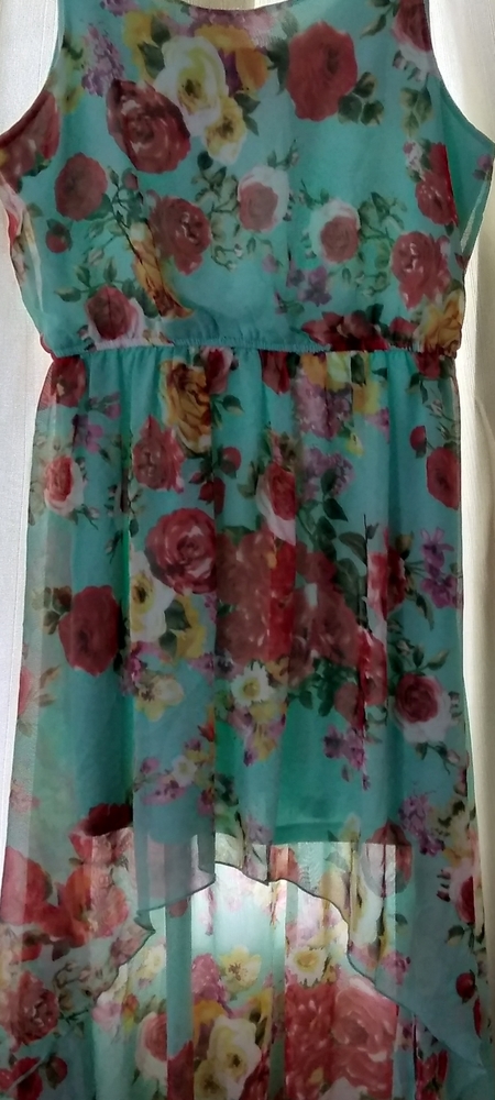 Forever 21 green floral long back dress